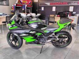 2017 Kawasaki Ninja 300 ABS (EX300B)