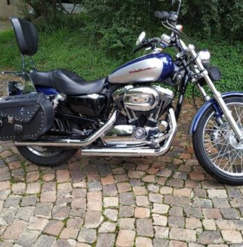 2008 Harley-Davidson 1200 Custom (XL1200C)