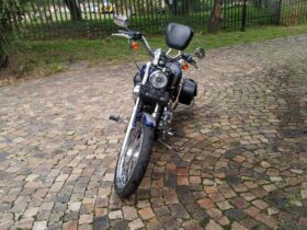 2008 Harley-Davidson 1200 Custom (XL1200C)